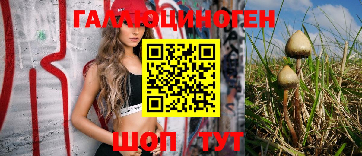 Псилоцибиновые грибы Magic Shrooms Пугачёв