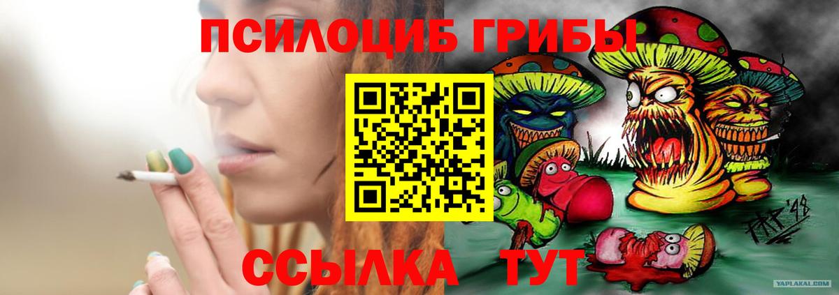 Галлюциногенные грибы Magic Shrooms  Вход с VPN  Галлюциногенные грибы MAGIC MUSHROOMS  Пугачёв 