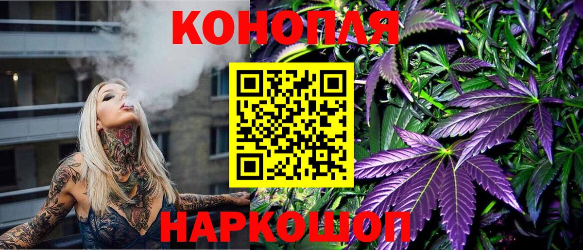 Пугачёв  Шишки марихуана сатива  Конопля семена  Каннабис план  Вход с VPN 